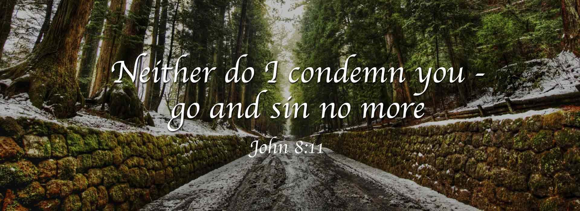 Neither do I condemn...