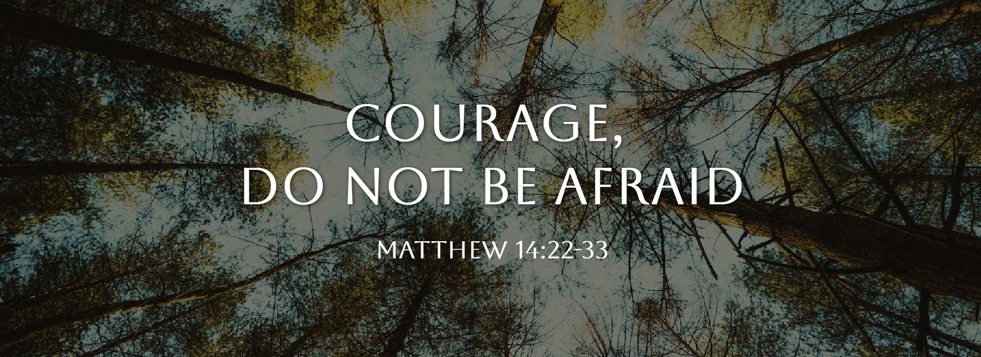 Courage, do not be afraid